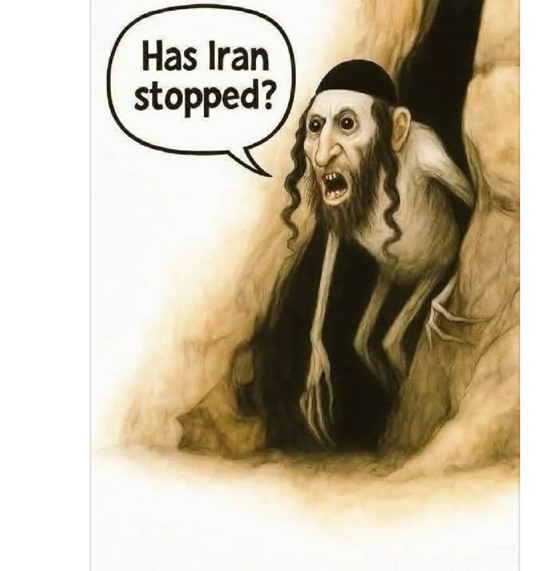 Mohamed helmy tweet media