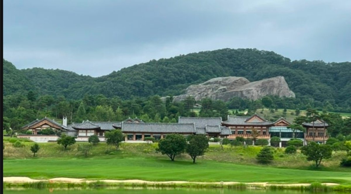 캔디하트 tweet media