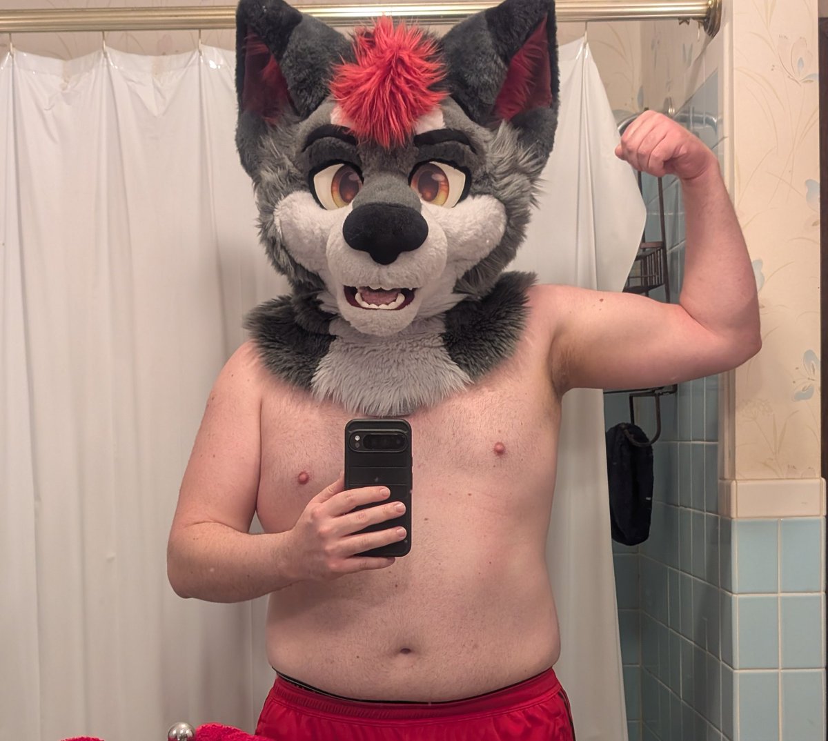 Axel Silverfang 🔜 Anthrocon tweet media