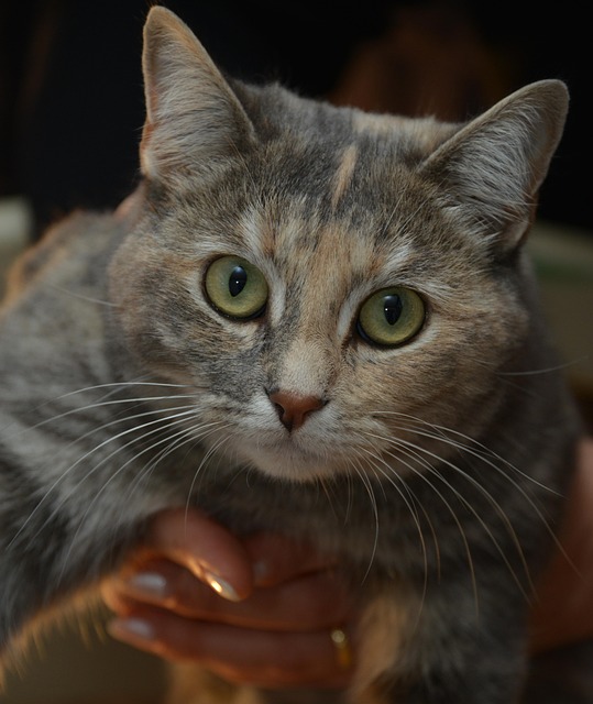 Mike Schmidt tweet media