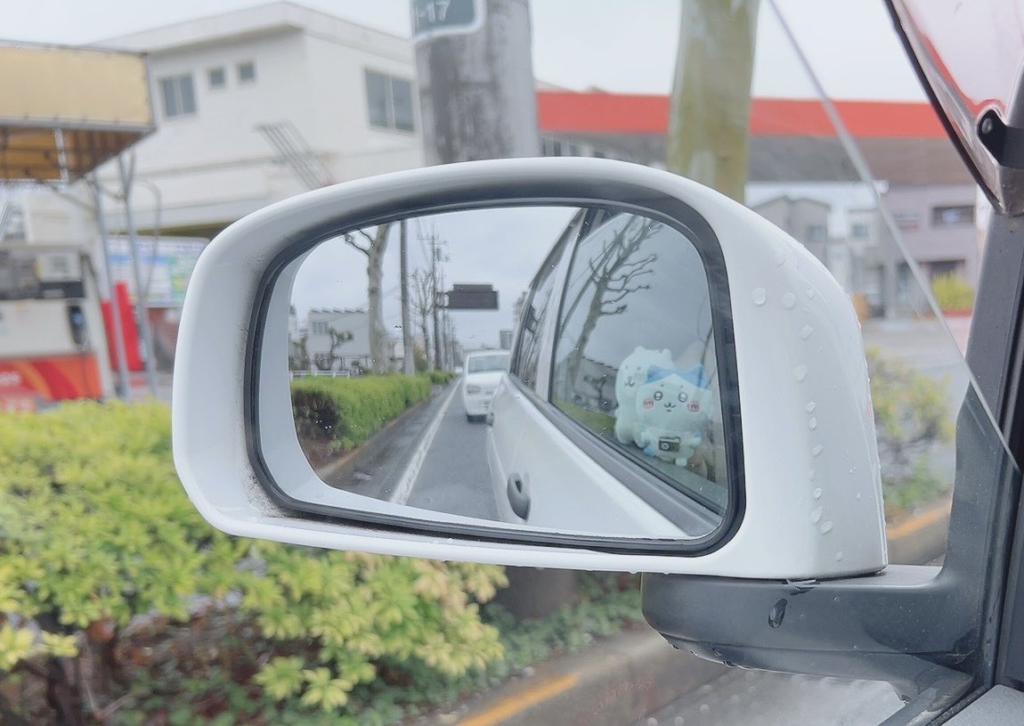 ちゃみ tweet media