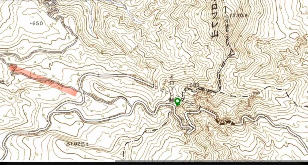 ツトム『ピコブロッサム』応援します♡ tweet media