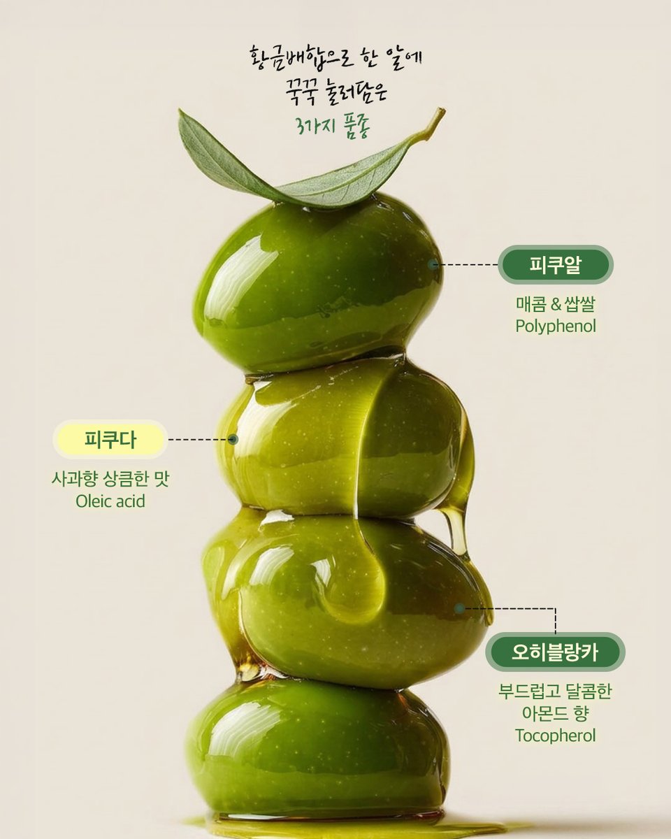 홀리데이즈 holidays tweet media