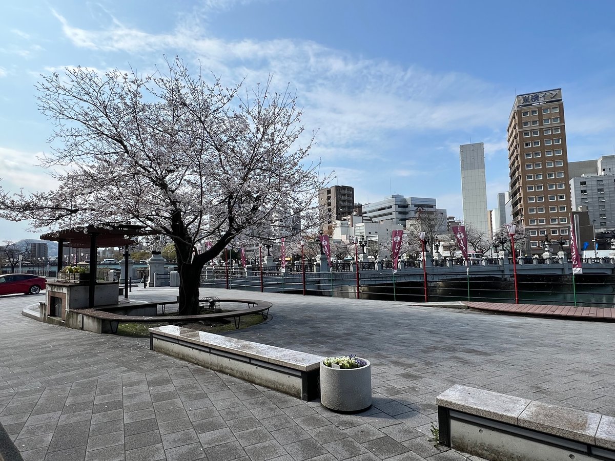 せともの tweet media