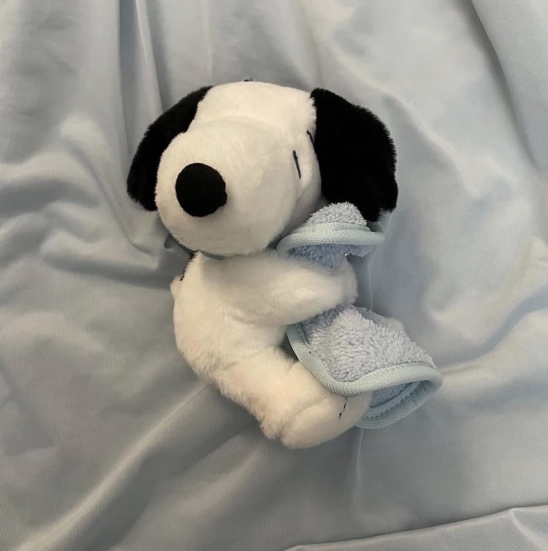 Daily Snoopy tweet media