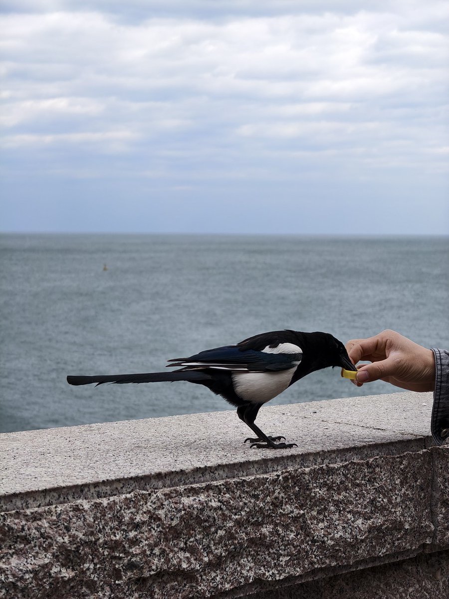 Santy 🐶🩷 (V2) tweet media