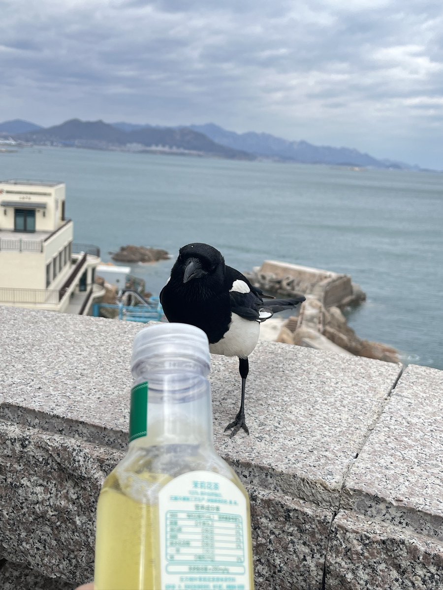 Santy 🐶🩷 (V2) tweet media