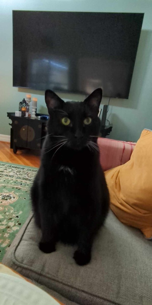 Dee Duhble tweet media