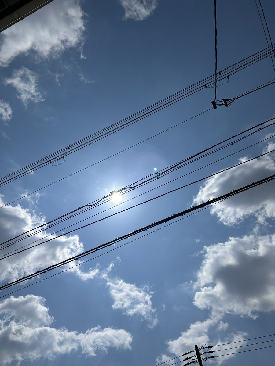 サツキ tweet media