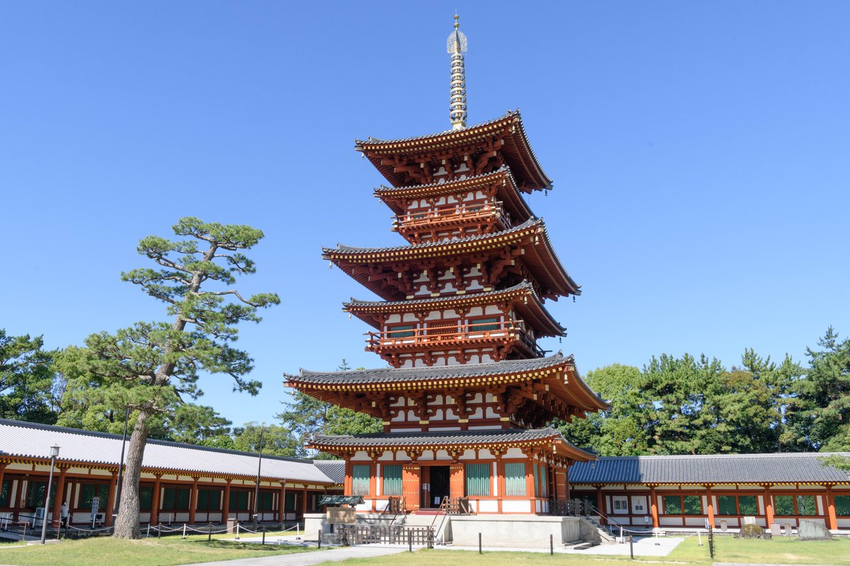 いざいざ奈良 tweet media