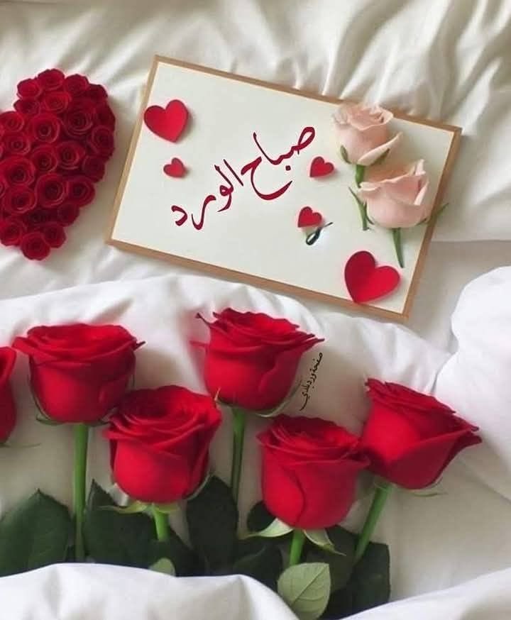 سالم البوسعيدي tweet media