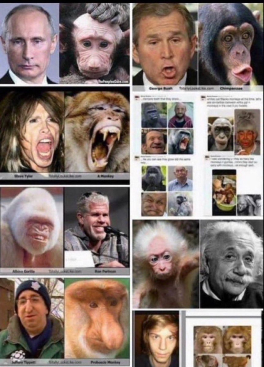 Javo Nature tweet media