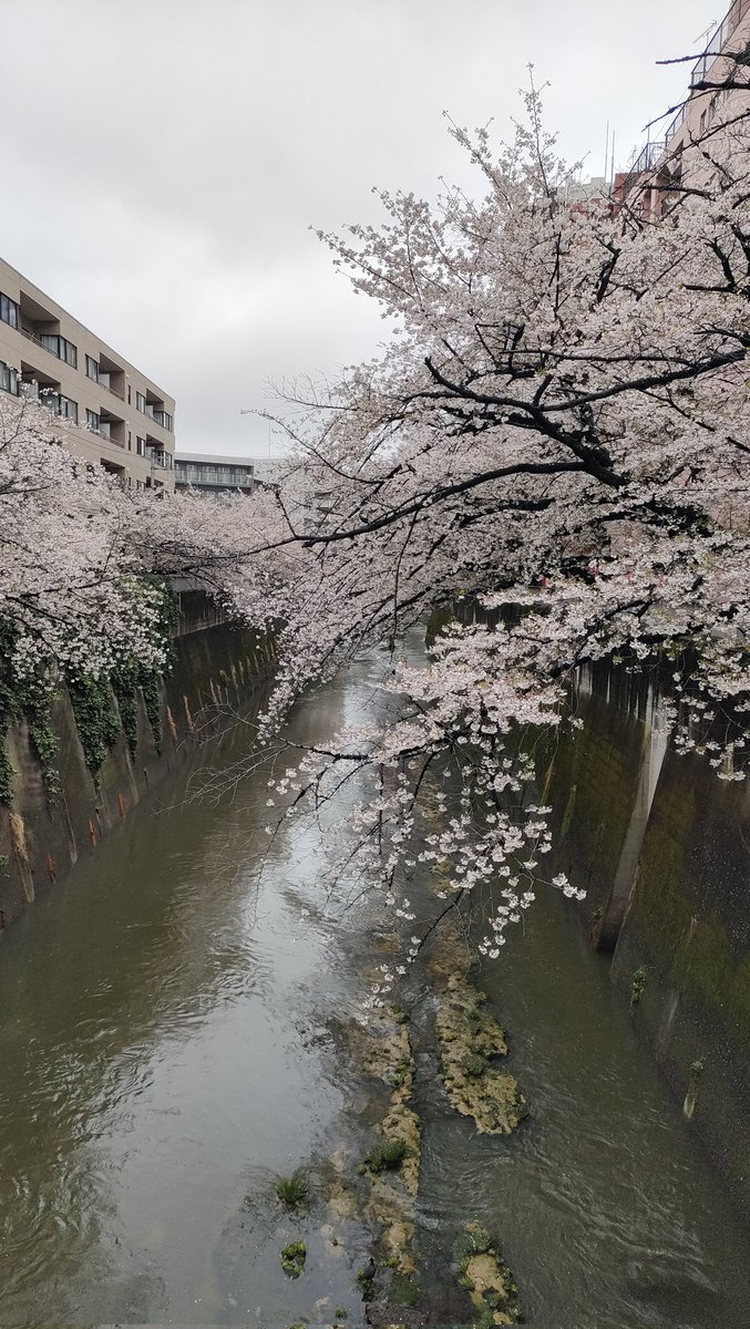 25th【スタジオイブキ】モーションキャプチャースタジオ tweet media