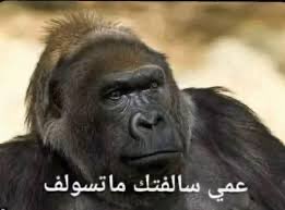 نوستالجيا tweet media