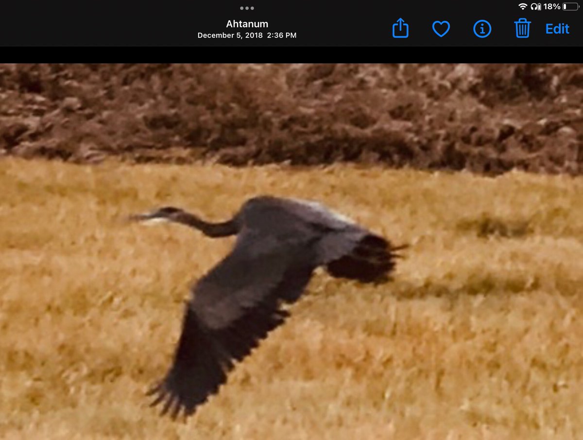 I AM MOSS tweet media