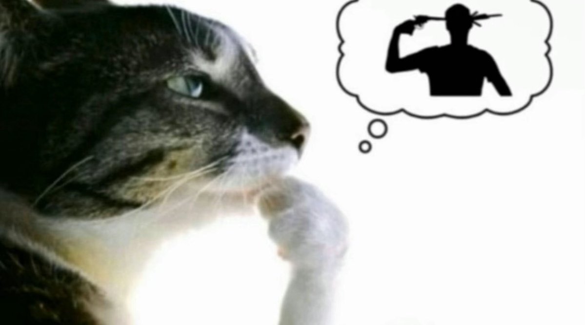 OMiT Drafty tweet media