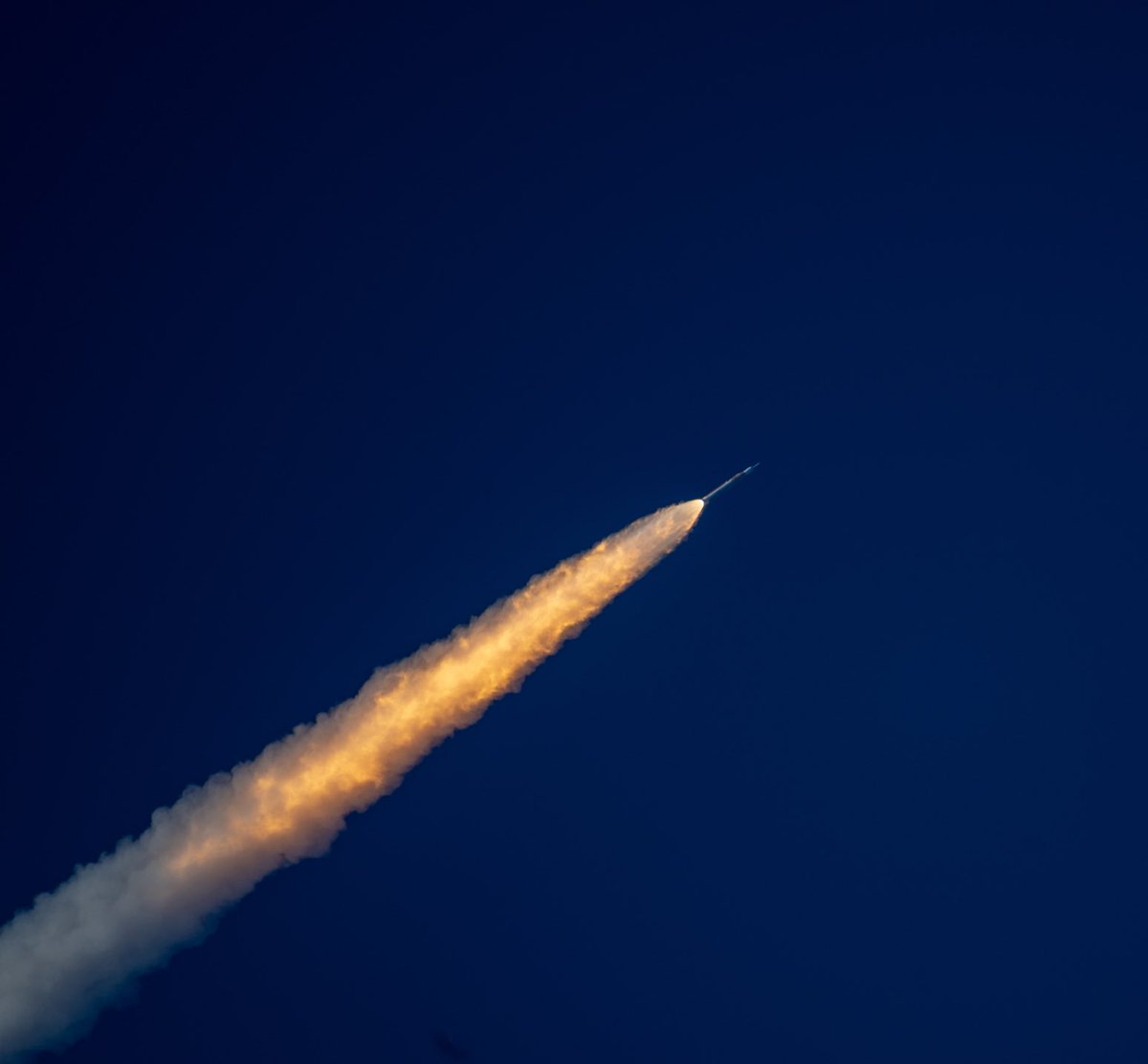 Mark Lowe Photography tweet media