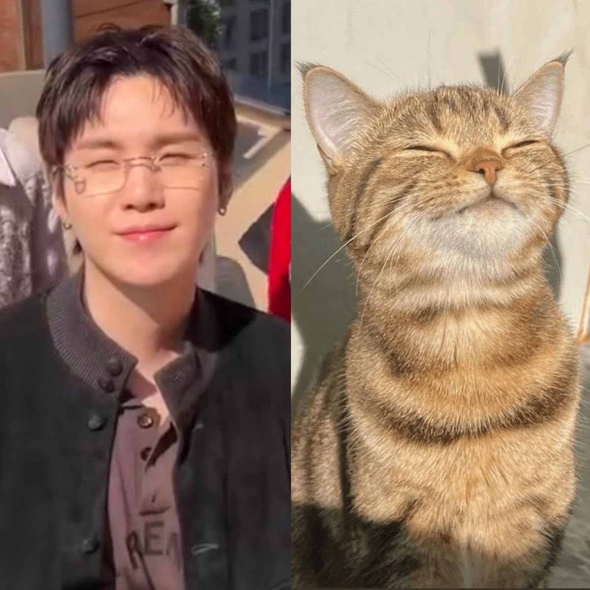 sound 🥢ᴹᴵᴺᴰ tweet media