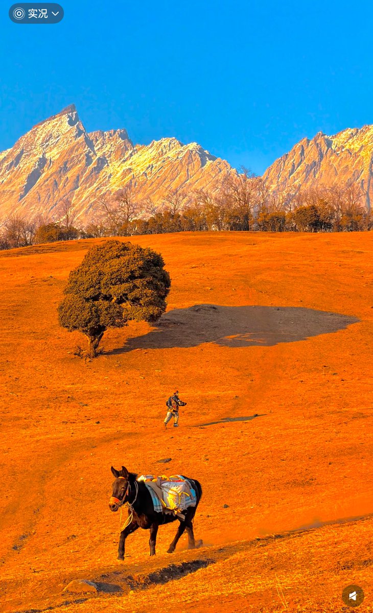 卤蛋（互fo）💯💯 tweet media