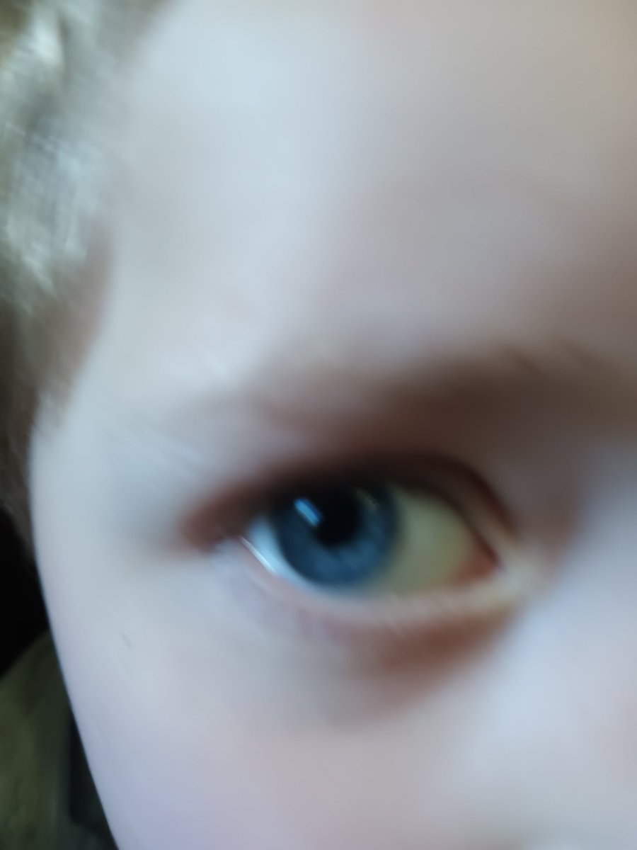 Terrance287515's tweet photo. @OccGn @CHR1STL3SS @teardowncross @terrancesalem88 @whereSalemsleep @0springseternal @ss My son and I both have blue eyes 🤷🏻‍♂️ you brown eyed neo jew pussy. https://t.co/zqsFwElJo5
