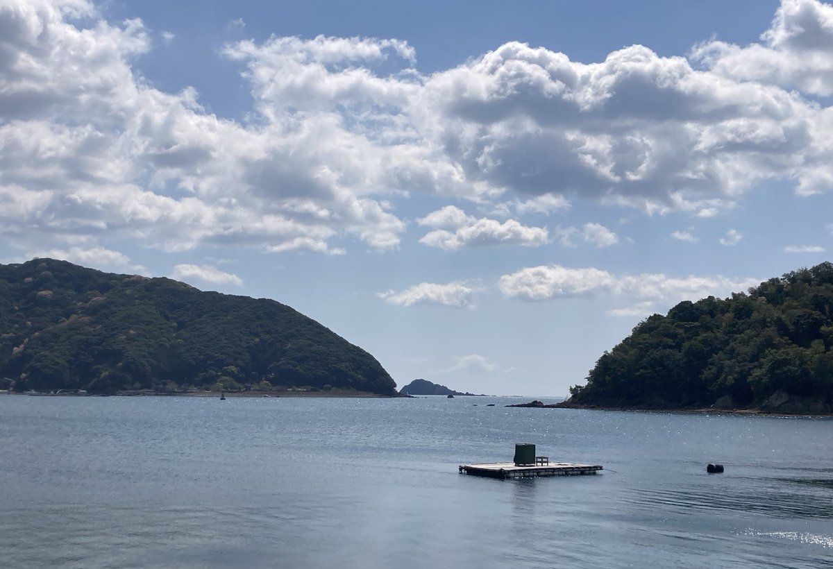 ちぃ@🩵💚 tweet media