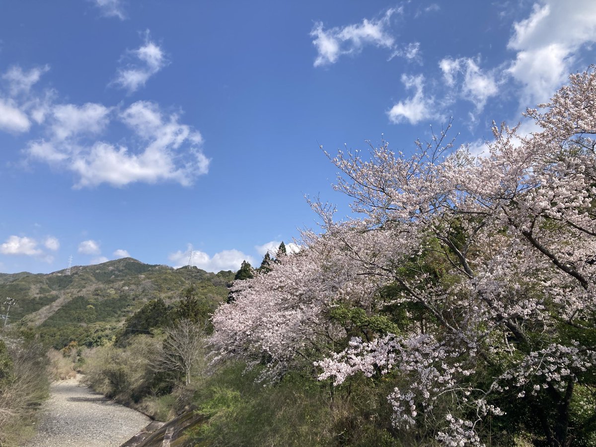 ちぃ@🩵💚 tweet media