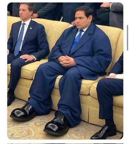 ChristojLV tweet media