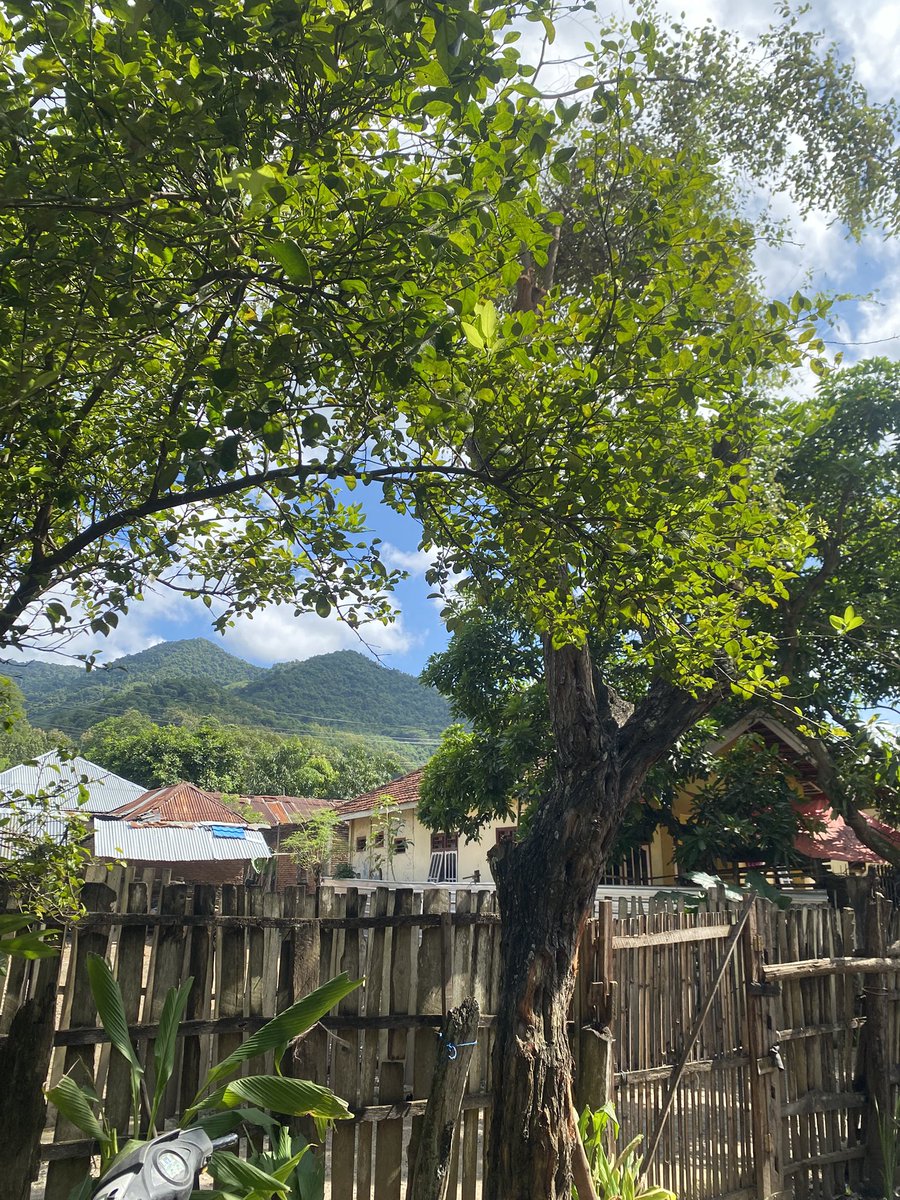 Deo-Maringa L.D.Garaha tweet media