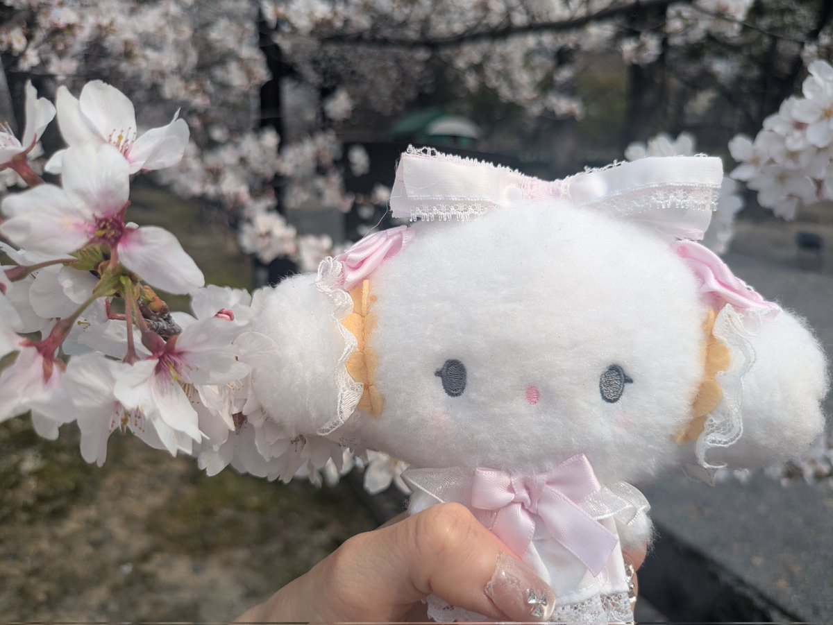 あすかけひまり🌠🌻6/6(土)主催ありがとうライブ tweet media