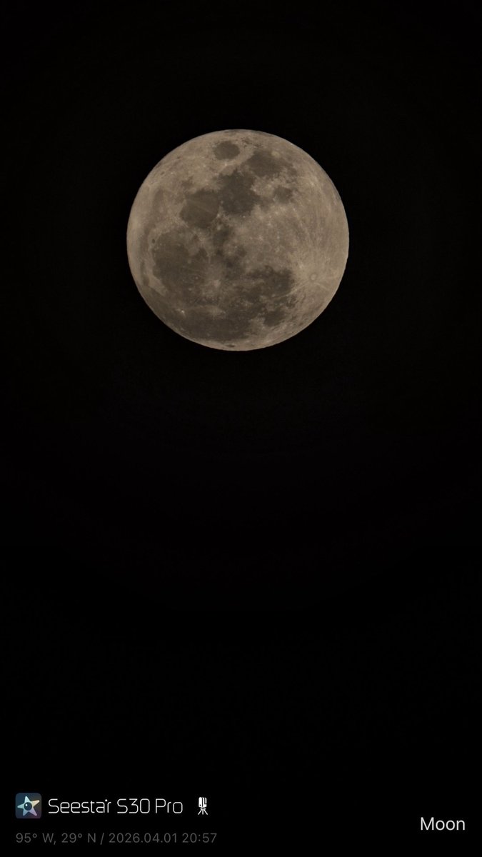 Steve C. tweet media
