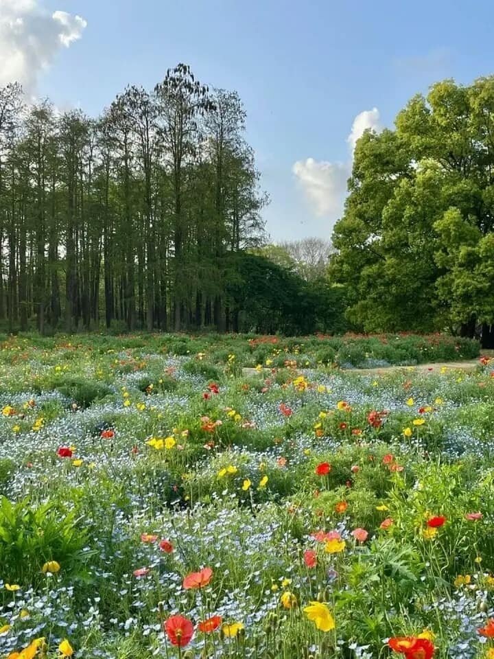 Aesthetics tweet media