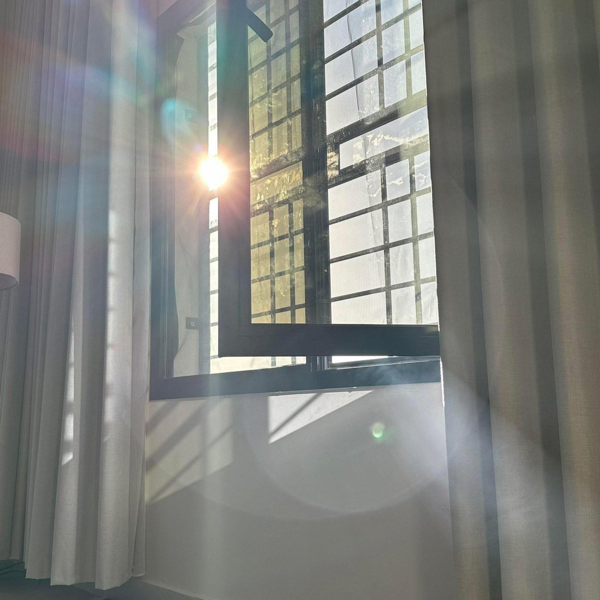 فتحي يوسف tweet media