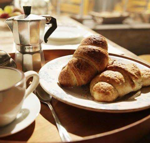 19donatella tweet media