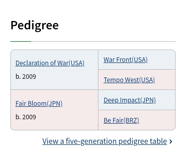 sakura bakushin iso 🏳️‍⚧️ tweet media