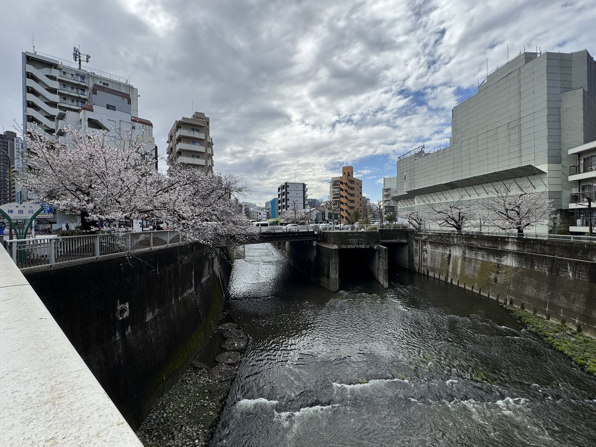 かたひと🐭🍀Clover Voiceをよろしく！🍀 tweet media