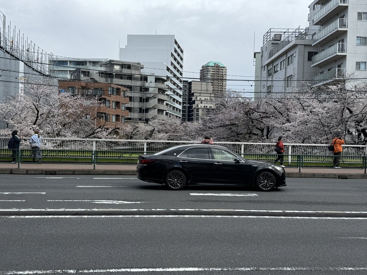 かたひと🐭🍀Clover Voiceをよろしく！🍀 tweet media