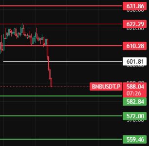 交易员张张子 tweet media