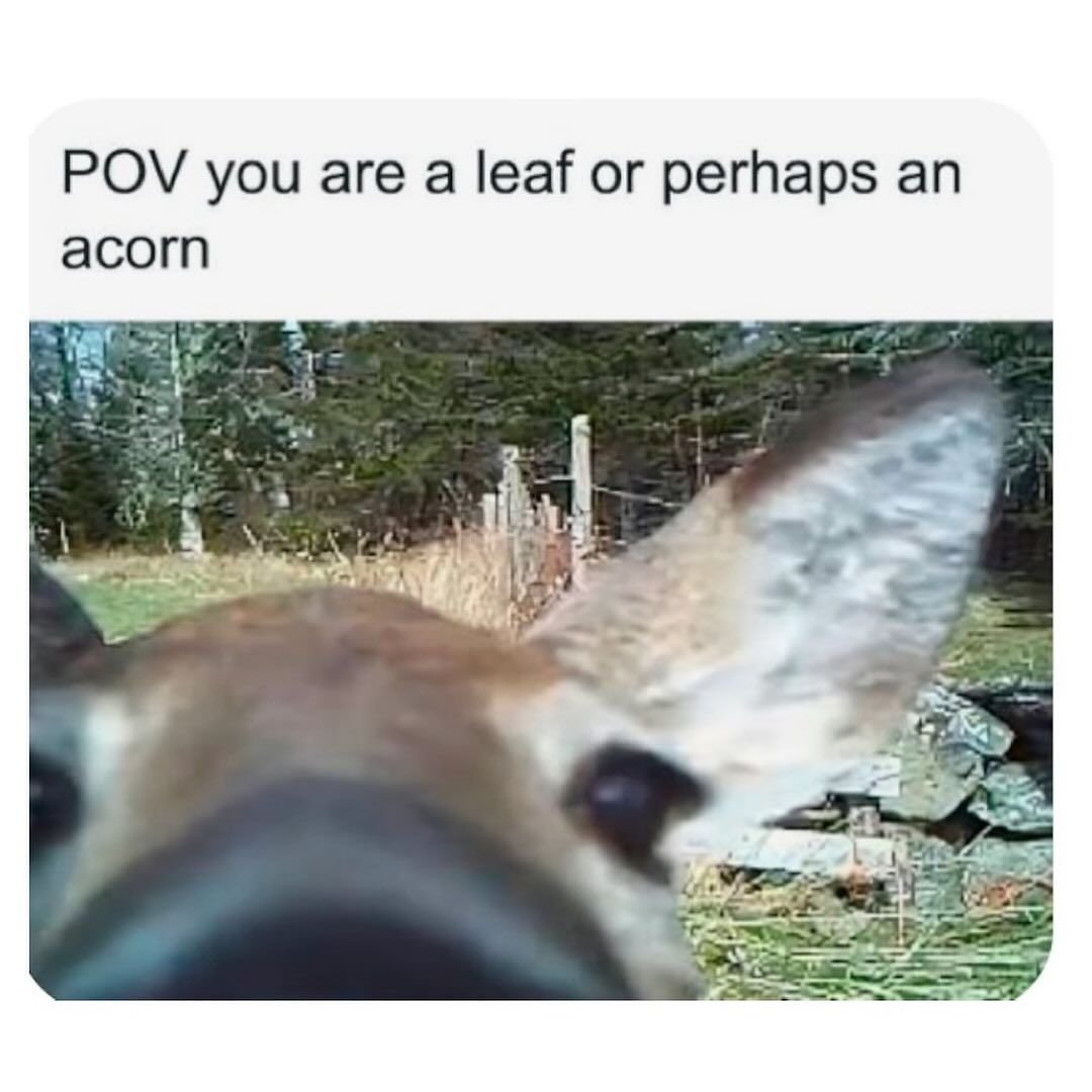 John fawn tweet media