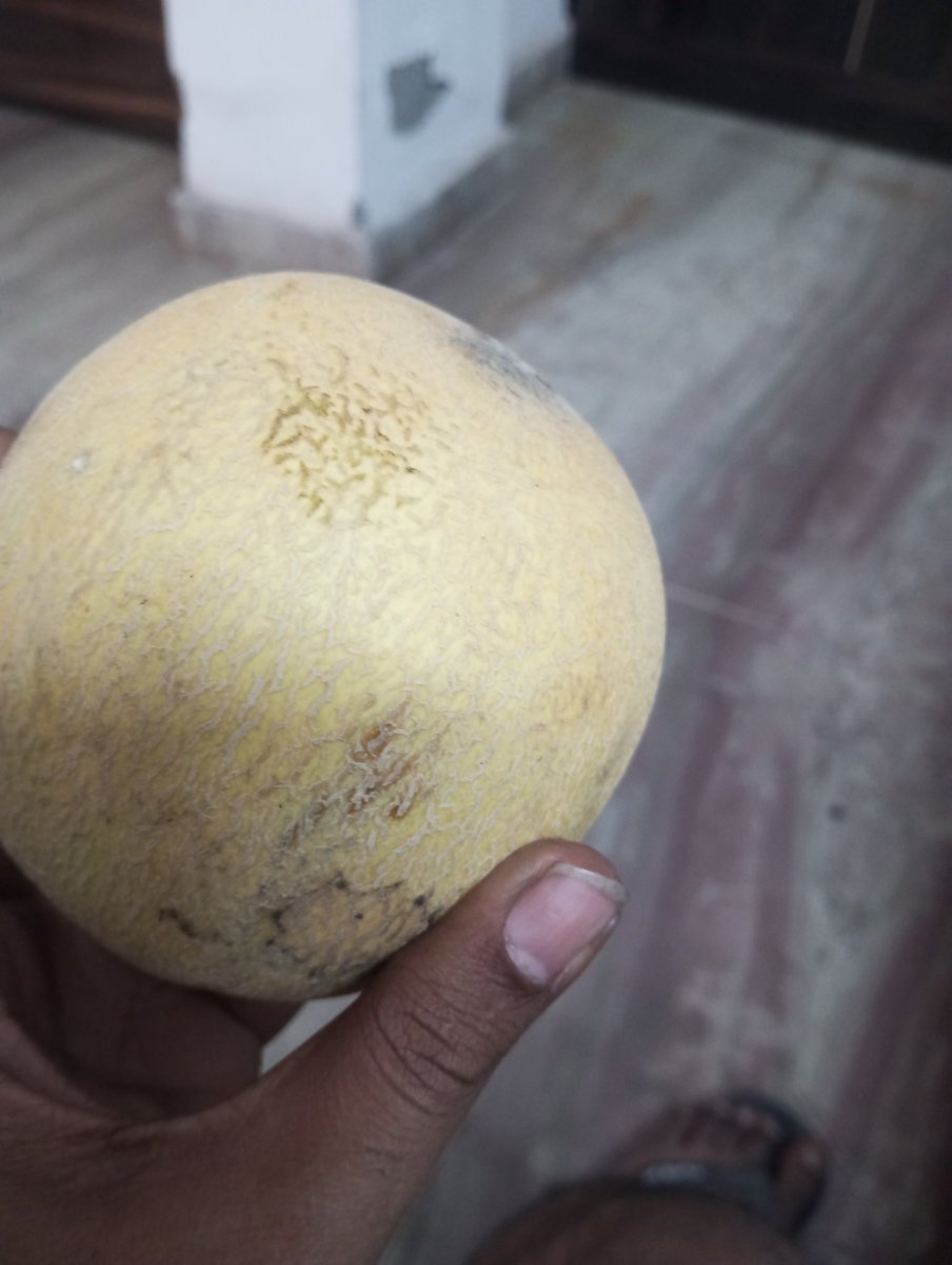 NIKHIL KHURANA tweet media