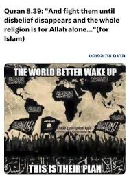 Navy Vet tweet media