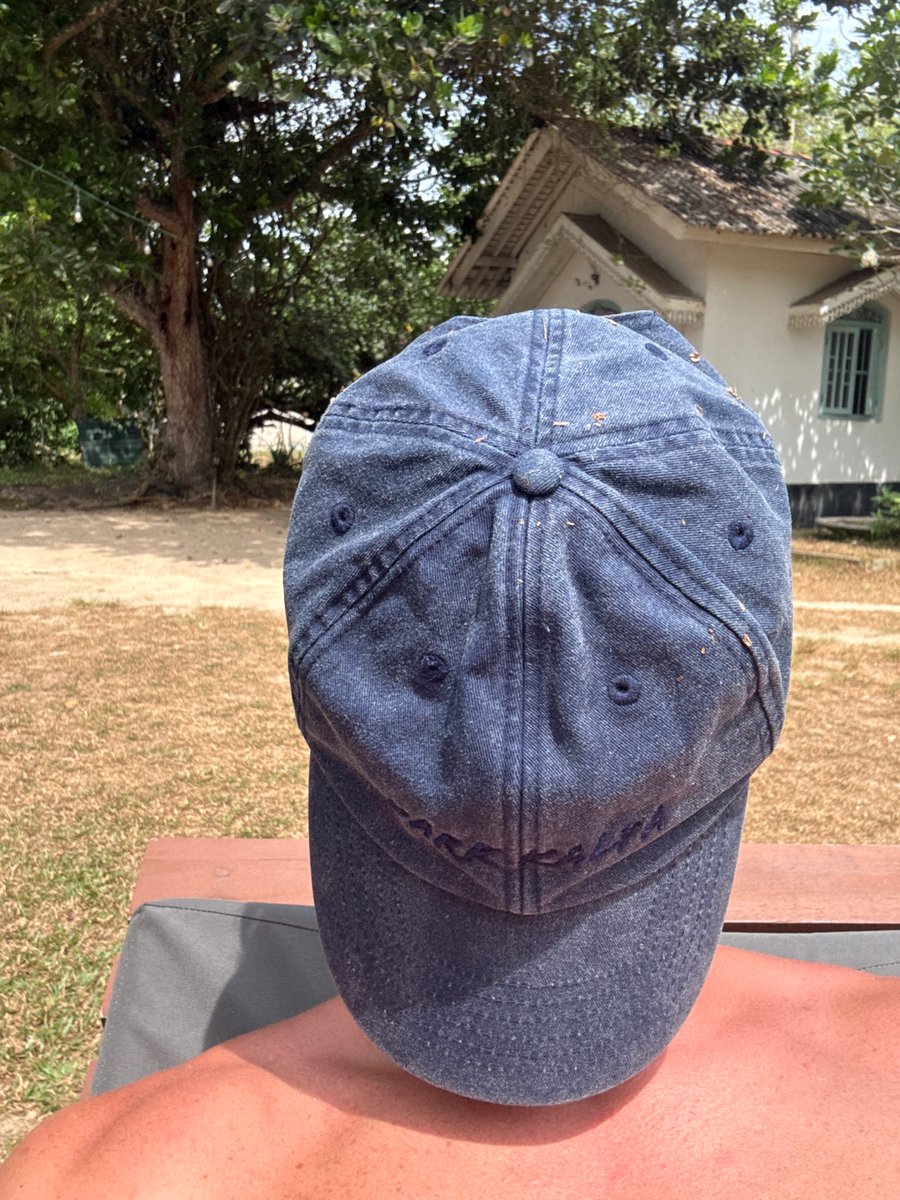 Dark Kalpa tweet media