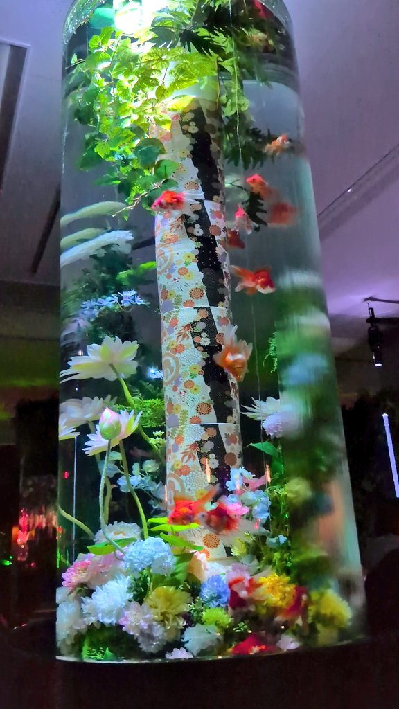 チビノリちゃん🍑プッチモニ世代 tweet media