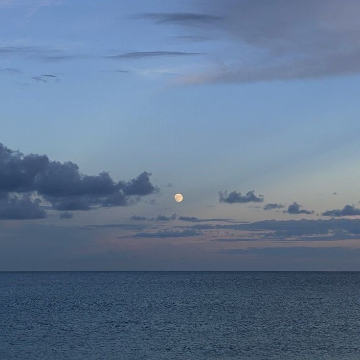 Aesthetics tweet media