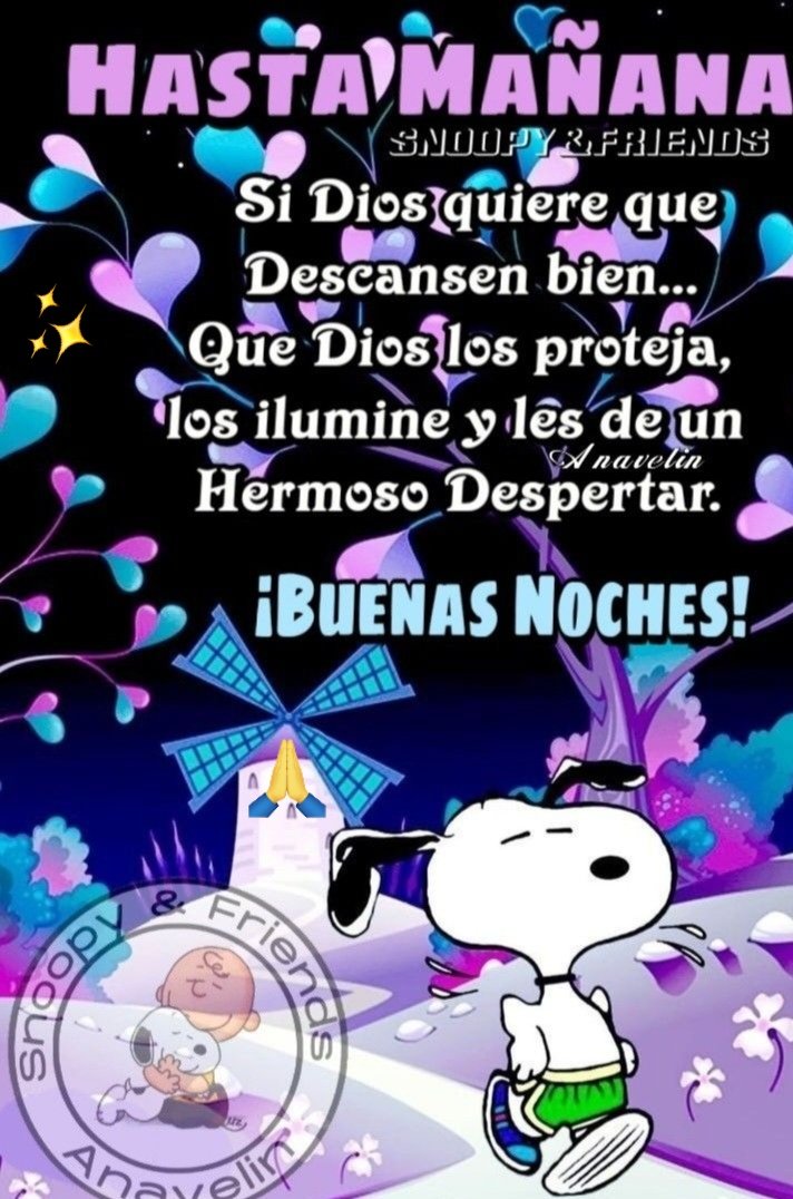 jesus caselin tweet media