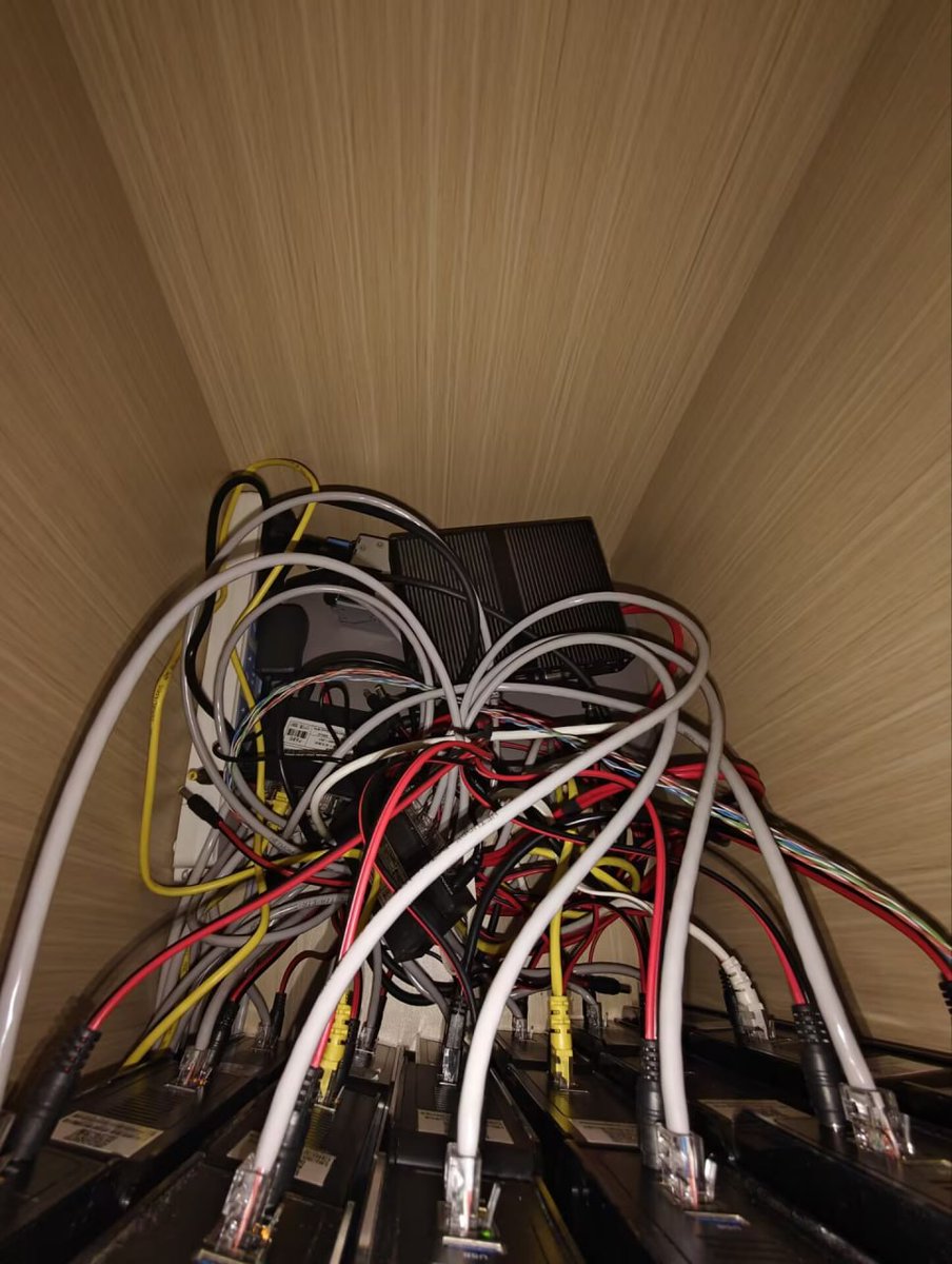 奶昔🥤 tweet media