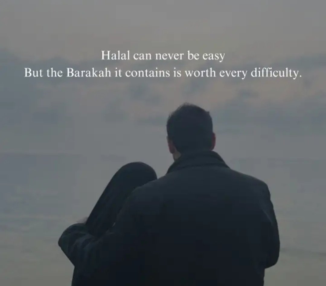 M. BAREERAH tweet media