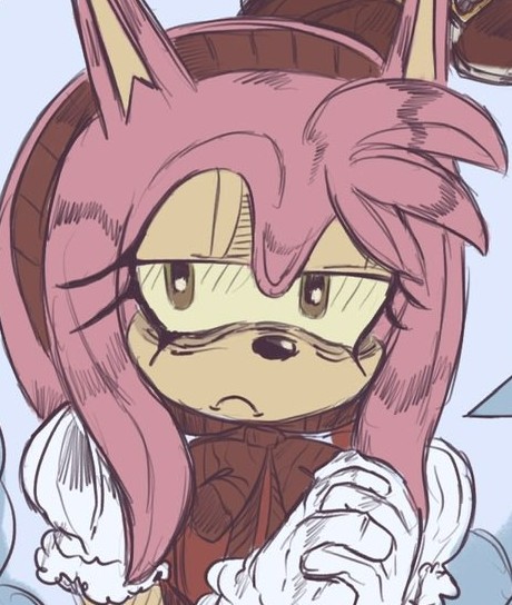 Amy Rose tweet media