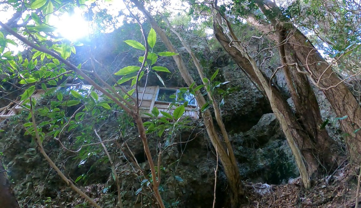 アマノ氏のチャンネル tweet media