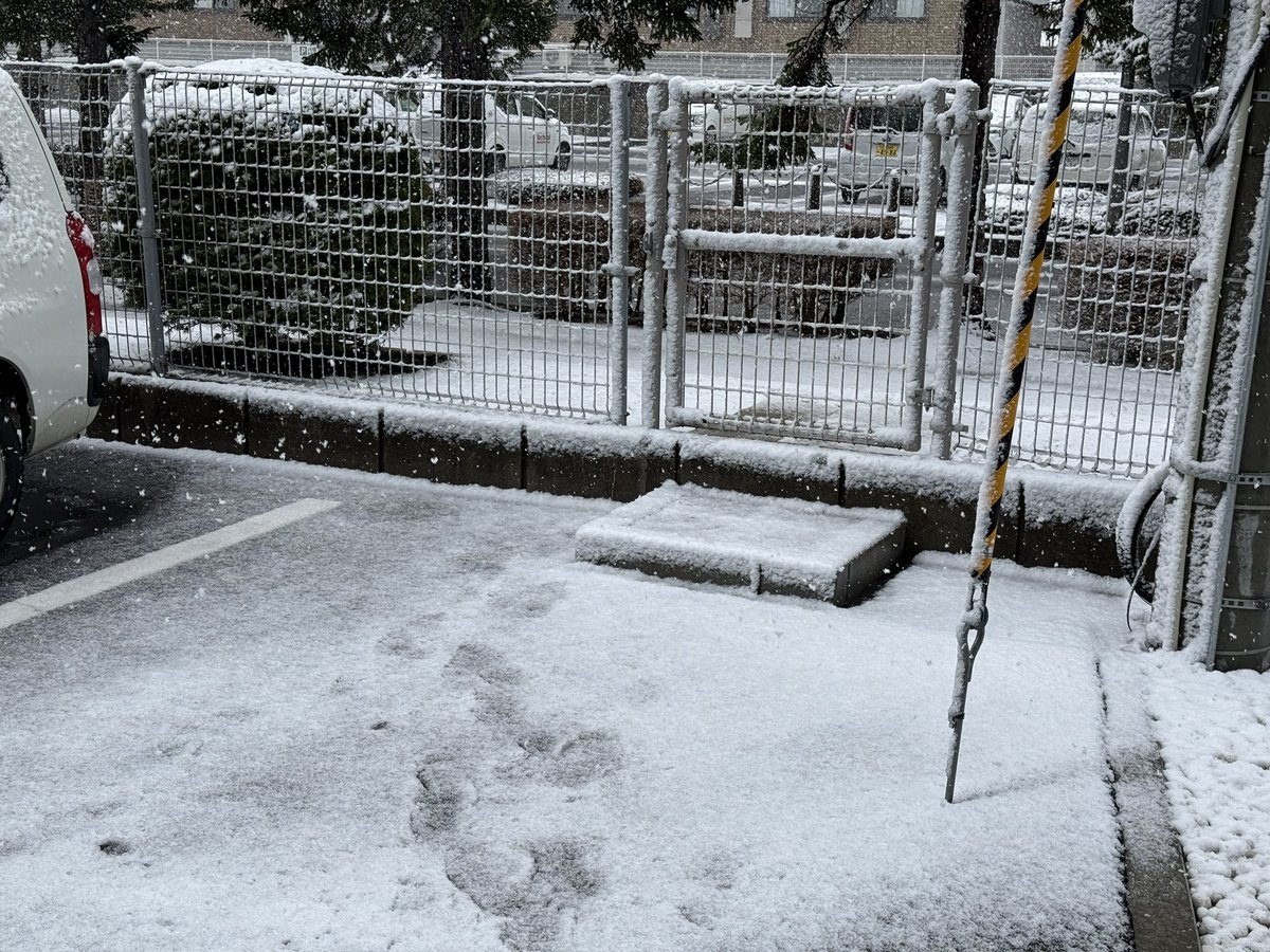 Yusuke Araseki（あらやん） tweet media