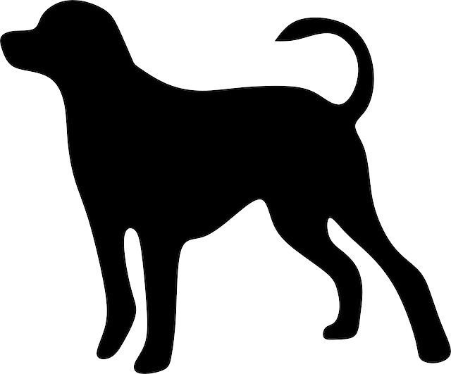 Eileen Gregory tweet media